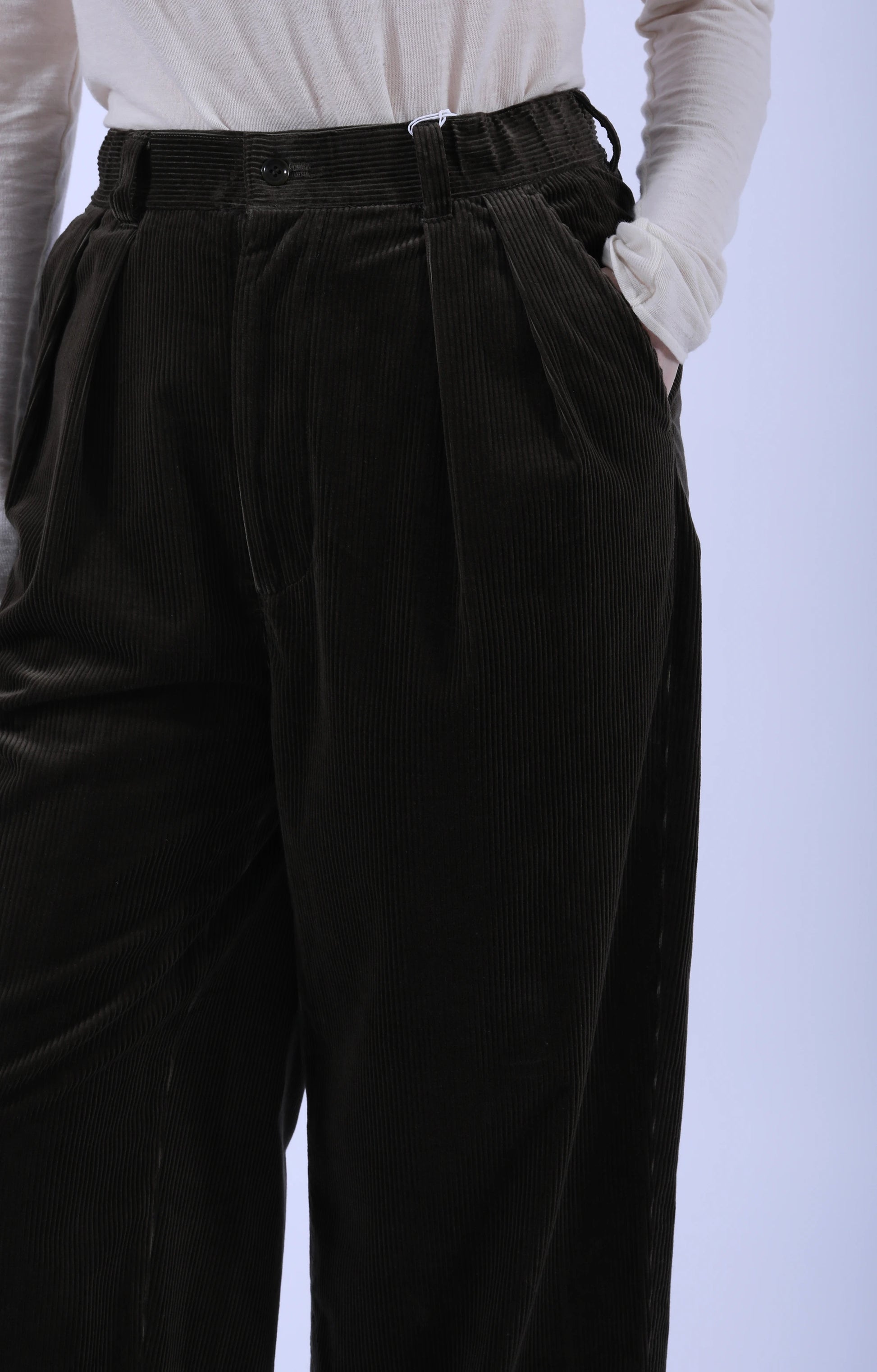 2 In-Pleat Cord Pants Chestnut