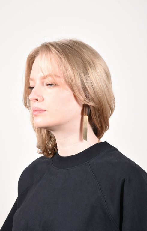 Earrings Horn Trapeze Tag Brown