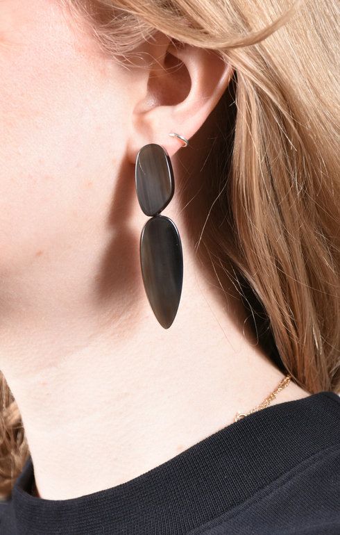Earrings Horn Kidney Point Brown