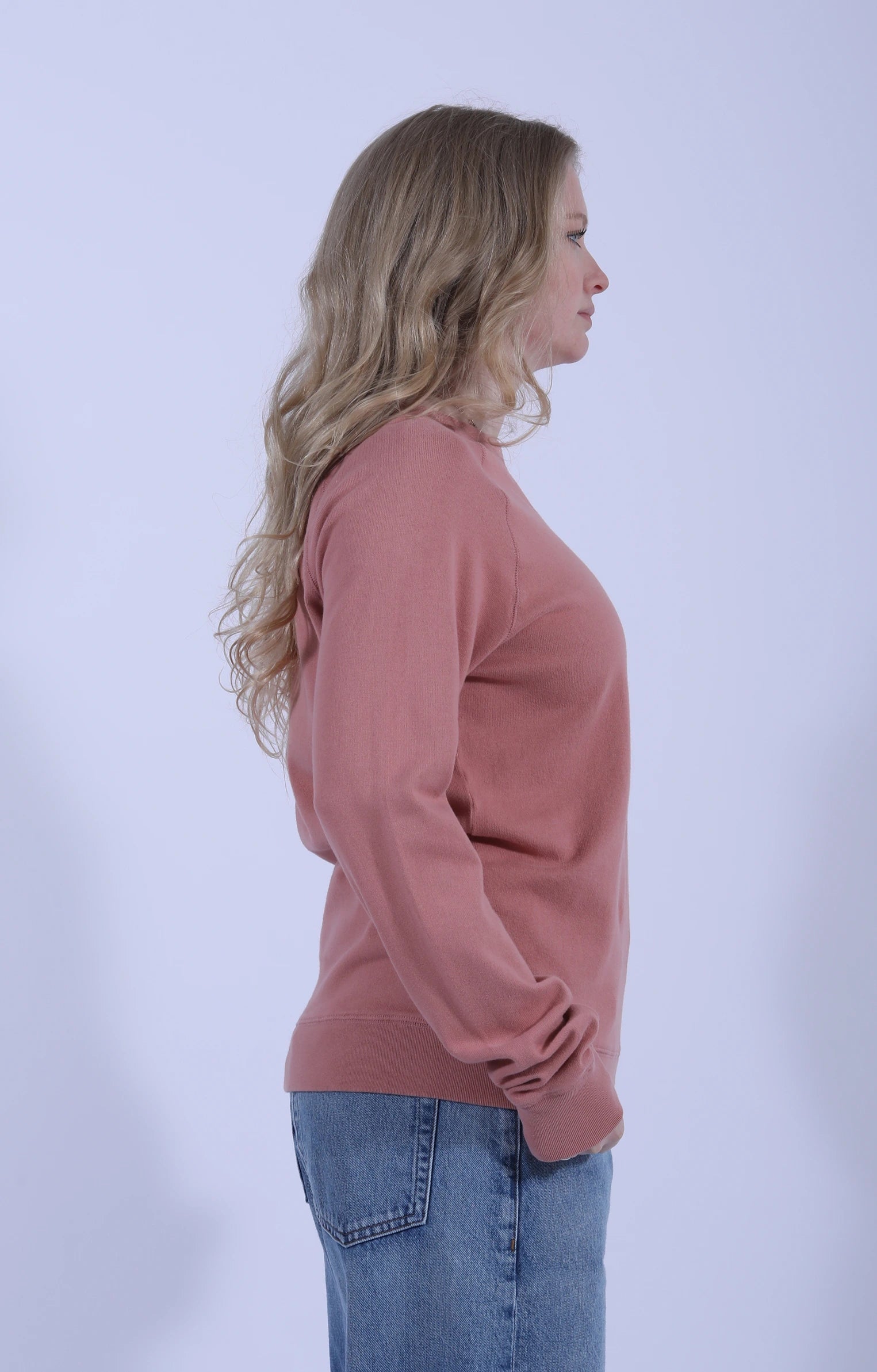 Relaxed Raglan Sweatshirt Rosewood