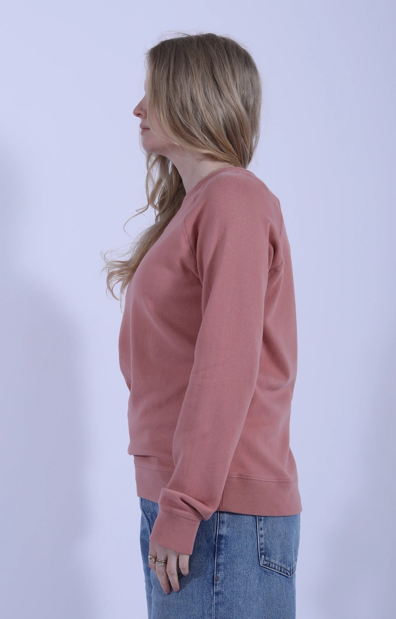 Relaxed Raglan Sweatshirt Rosewood