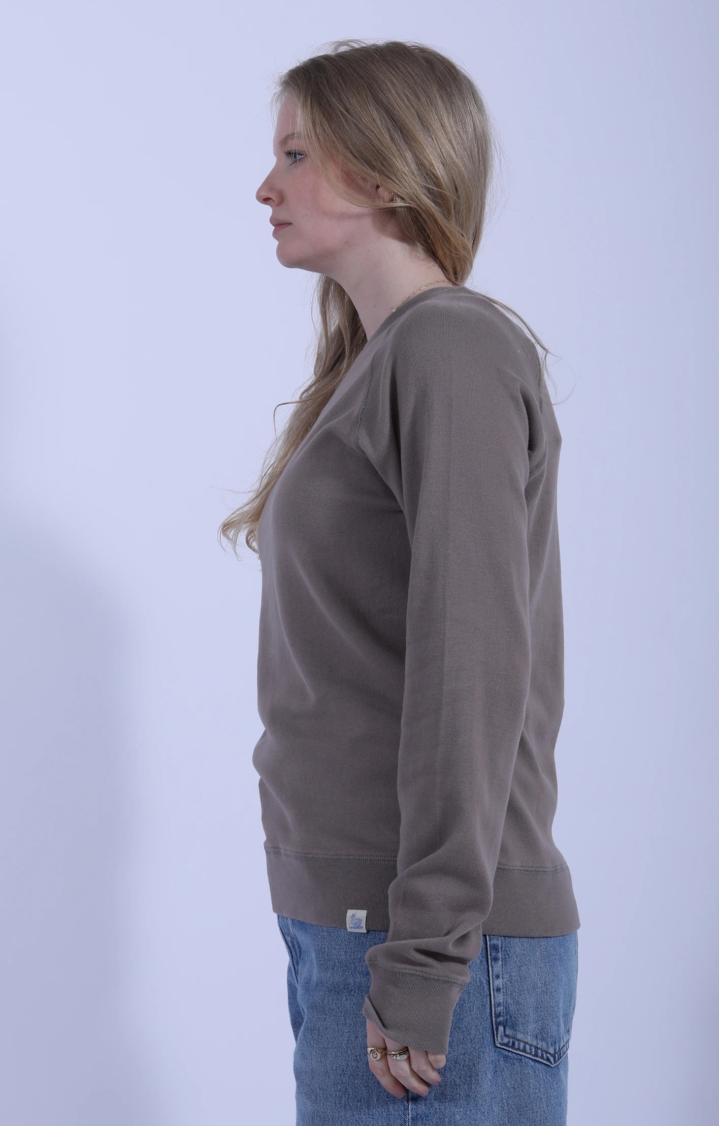 Relaxed Raglan Sweatshirt Faded Grain