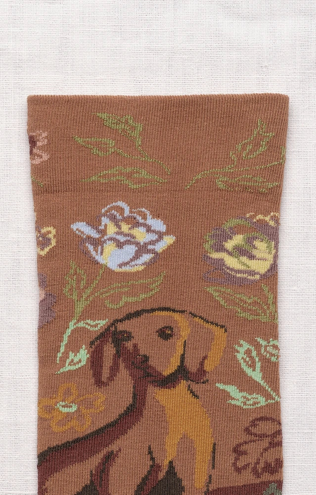 Chaussettes Chien Caramel