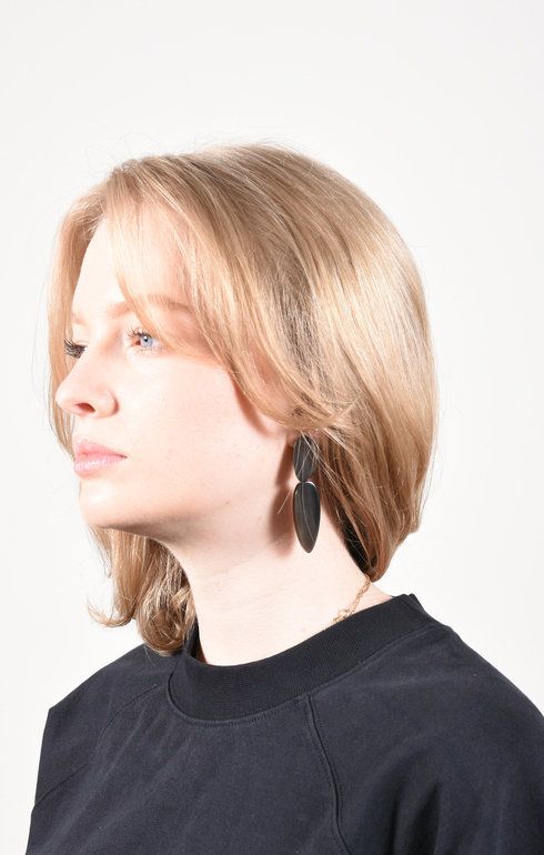 Earrings Horn Kidney Point Brown