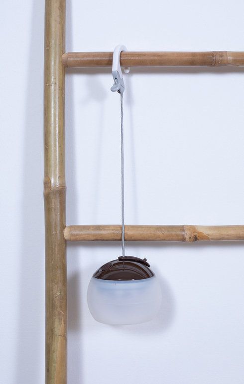 Hozuki Lantern Brown